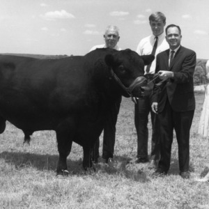 Two 4-H club members and two unidentified men showing a 4-H club bull
