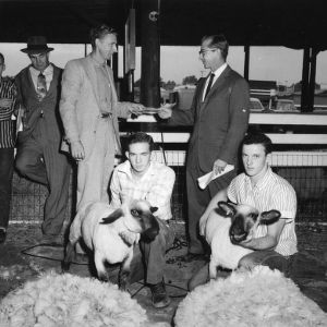 Johnnie Vines and Dennis Trivett holding the lambs they have just sheared to win the statewide 4-H contest.