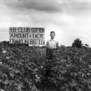 North Carolina State 4-H Club member Franklin Batten stands amidst his one acre of cotton