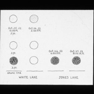 White Lake and Jones Lake comparison of water movement by dye markers