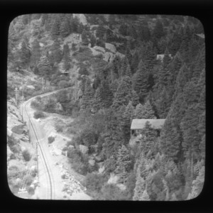 Railway through montane forest