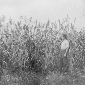Man standing next to a corn field