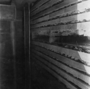 Interior view showing sweet potatoes stored in wood bins
