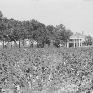 Upscale farm home on large cotton farm, 1922