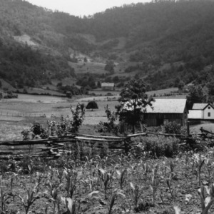 Typical mountain valley, Graham County, North Carolina, June 9, 1937