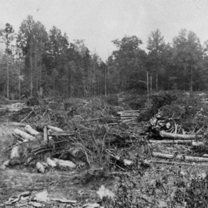 Land cleared at cost of $25 per acre, September 23, 1925