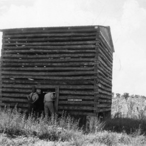 Two people looking into a log tobacco barn, 1940