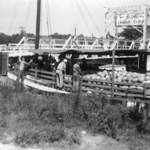 Watermelons being loaded on a boat from trucks driven along close to the canal bank at Coinjock