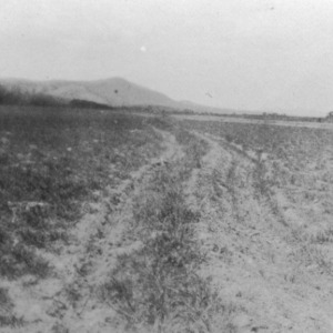 Barley frozen out on north side of terrace, good on south side. Alex Chatham, Elkins, North Carolina, March 26, 1928
