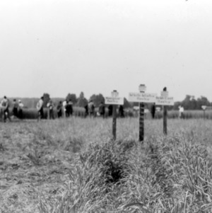 Three new varities of barley on the farm of C. L. Neel, Salisbury, North Carolina, May 17, 1939