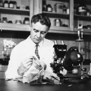 Unidentified man examining tobacco plant with a microscope at a tobacco plant disease clinic