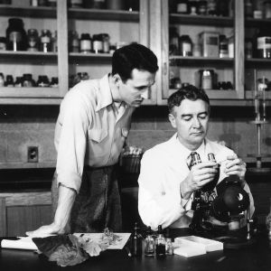 Two unidentified men examining a diseased tobacco plant in a tobacco plant disease clinic