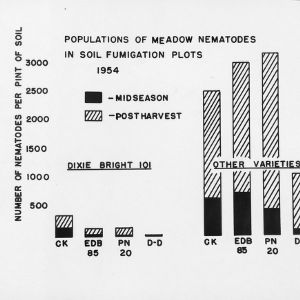 Graph showing population of meadow nematodes in soil fumigation plots