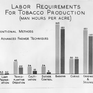 Photographic display of a chart showing labor requirements for tobacco production in man hours per acre