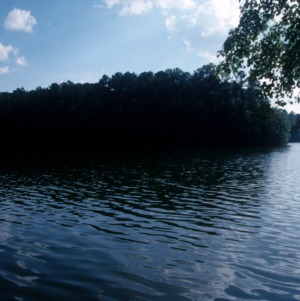Lake Raleigh