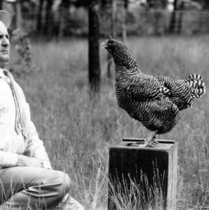 Clifton F. Parrish with champion Barred Rock hen
