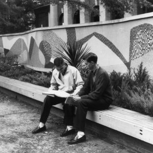 Students reading on a bench