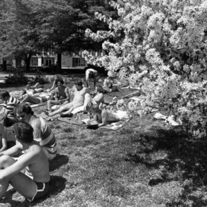 Students enjoying the sun on campus