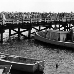 Large group on pier looking at boats in water