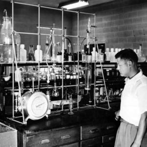 Dr. Nelson Nemerow in lab