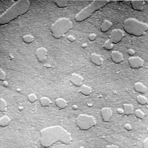 Close-up from electron microscope