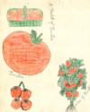 1912 tomato club booklet by Carrie I. Killian
