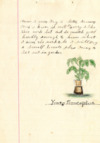 1912 girl's club, tomato club booklet by Ida Bumgarner