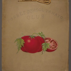 Forbes School tomato club