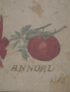 Annual, 1913, tomato club booklet
