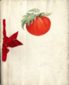 1913 girl's club, tomato club booklet by Lizzie Norris