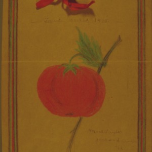 Tomato booklet 1915