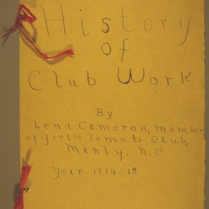 History of club work