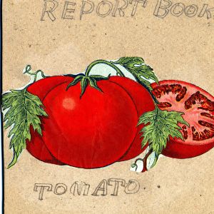 Report book tomato