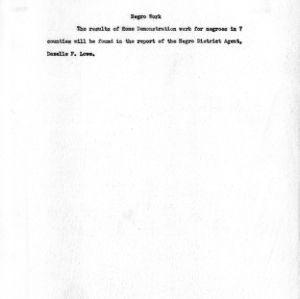 Annual report, negro work, 1930