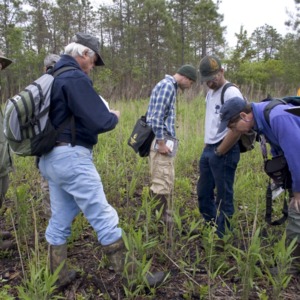 First official Wells Savannah hike. Professor Tom Wentworth is on right, bent down. Richard LaBlond stands second from left.