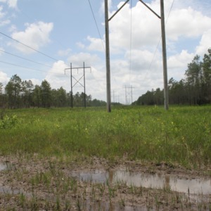 Power lines on the Wells Savannah