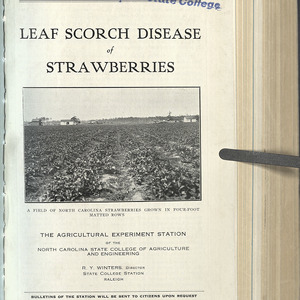 Leaf Scorch Disease of Strawberries (North Carolina Agricultural Experiment Station Technical Bulletin No. 28)