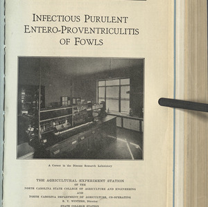 Infectious purulent entero-proventriculitis of fowls (North Carolina Agricultural Experiment Station Technical Bulletin No. 31)
