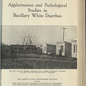 Agglutination and pathological studies in bacillary white diarrhea (North Carolina Agricultural Experiment Station Technical Bulletin No. 34)