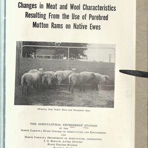 Changes in meat and wool characteristics resultinf from the use of purebred mutton rams on native ewes (North Carolina Agricultural Experiment Station. Technical bulletin 60)