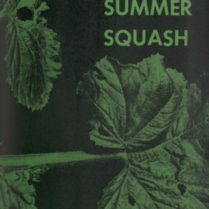 Scab of Summer Squash (Special Circular. No. 18)