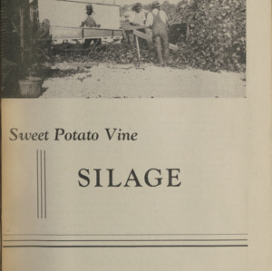 Sweet Potato Vine Silage (Special Circular. No. 3)