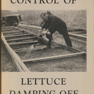 Control of Lettuce Damping-Off (Special Circular. No. 4)