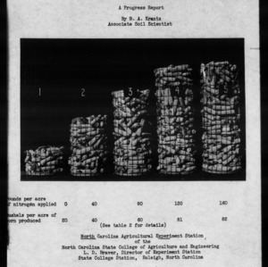 Corn Fertilization Studies in 1945 : A Progress Report (Agronomy Information Circular No. 142)