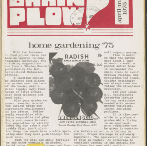 Brain Plower/Plow, April-May 1975