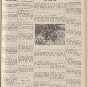 North Carolina agriculture and industry. Vol. 2 No. 11