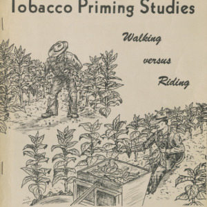 Tobacco Priming Studies: Walking versus Riding (Information Circular No. 9)
