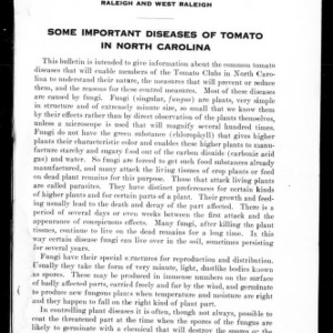 Some Important Diseases of Tomato in North Carolina (Extension Circular No. 1)