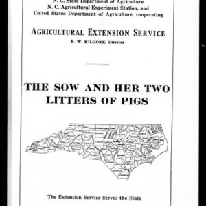 The Sow and Her Two Litters of Pigs (Extension Circular No. 42)