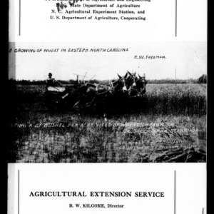 The Growing of Wheat in Eastern North Carolina (Extension Circular No. 71)